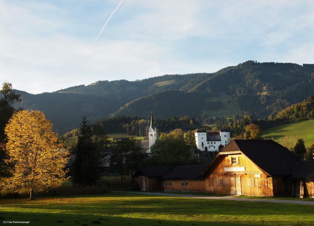 Biobergbauernhof Bergzeit Apartment in Goldegg im Pongau Exterior foto